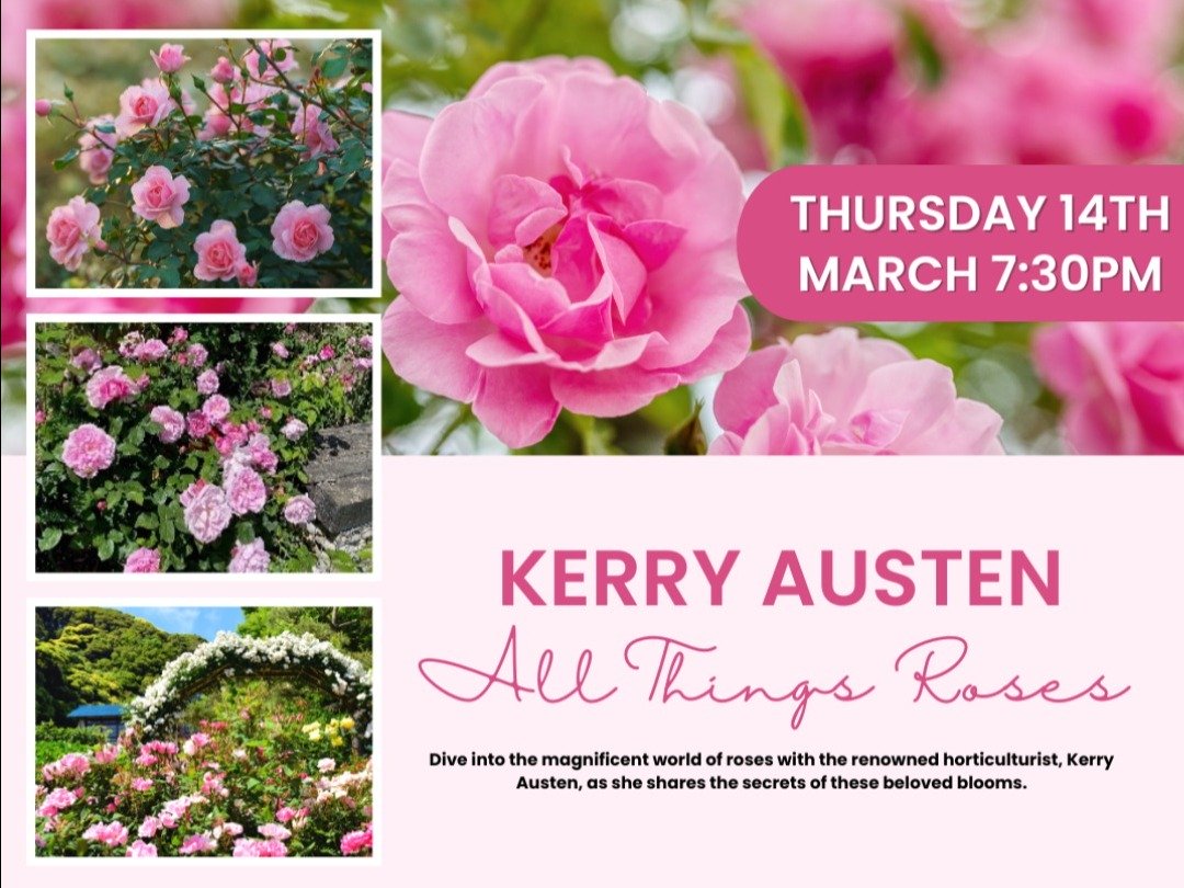 🌹 An Enthralling Evening with Kerry Austen: All things Roses 🌹